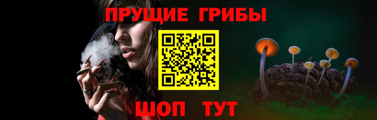 Галлюциногенные грибы Psilocybe  купить   Зеленокумск  Вход с VPN 